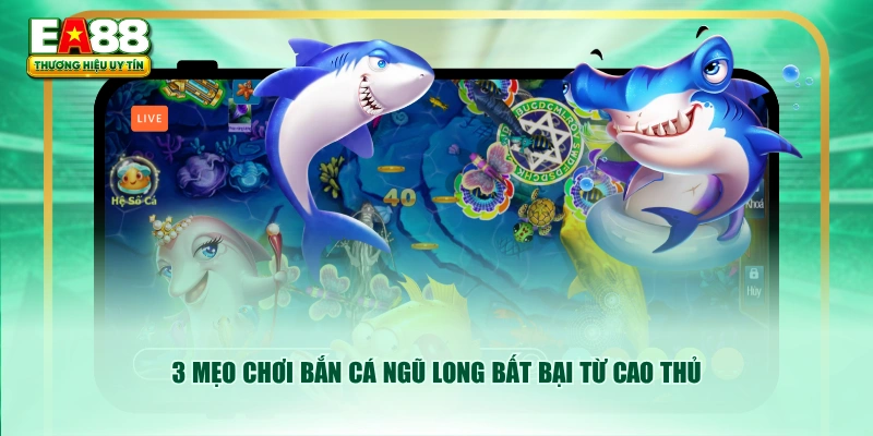 3 mẹo chơi Bắn Cá Ngũ Long bất bại từ cao thủ